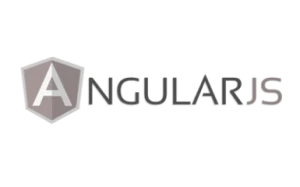 Angular JS